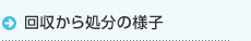 回収から処分の様子